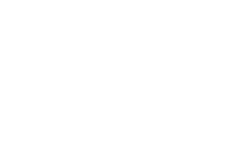 專業(yè)團隊